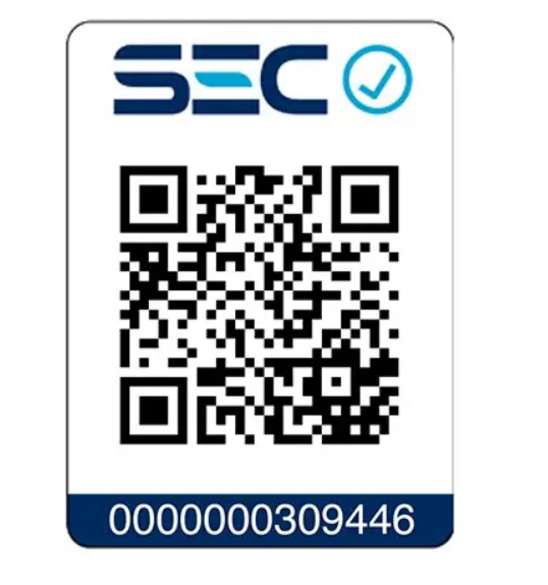 Cepillo Secador Get Ready SG 2805-3