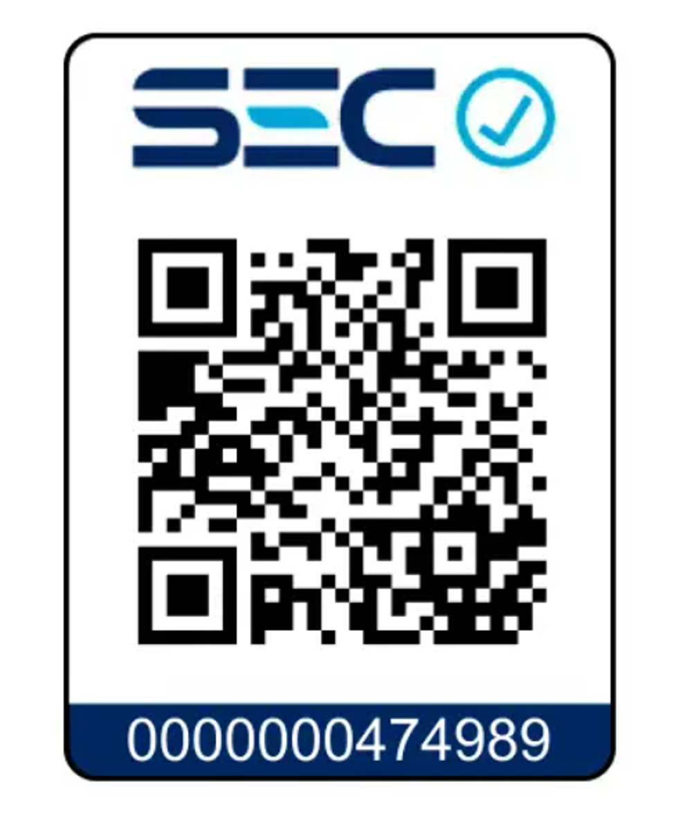 Minipimer THOMAS TH-8706 300 Watts-6