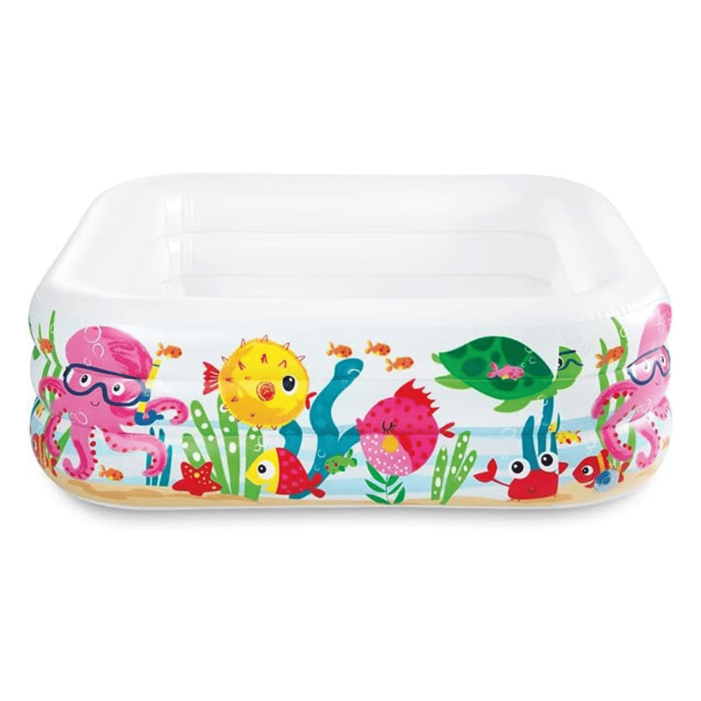 Piscina Inflable Intex Acuario 159x159x50cm-2