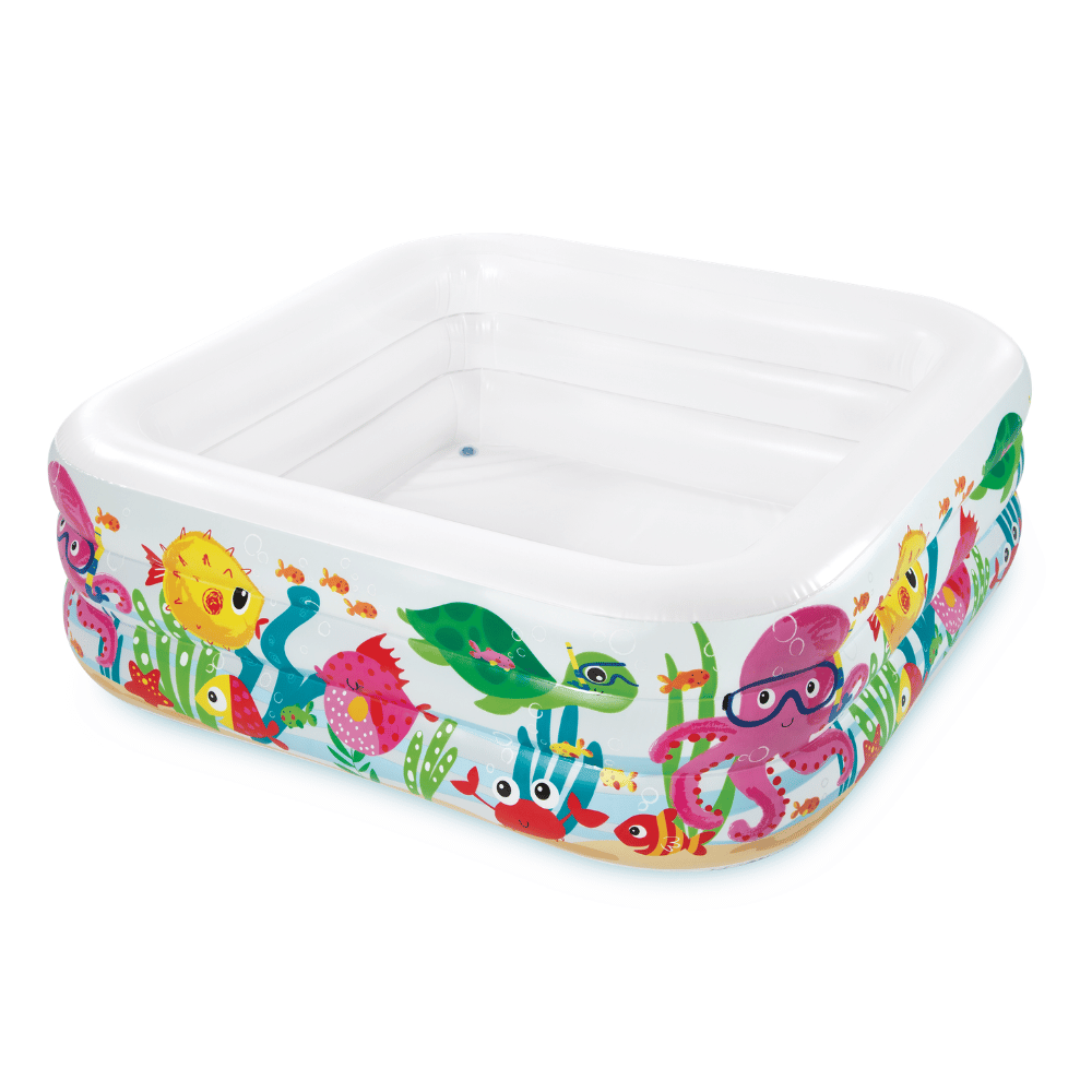 Piscina Inflable Intex Acuario 159x159x50cm-3