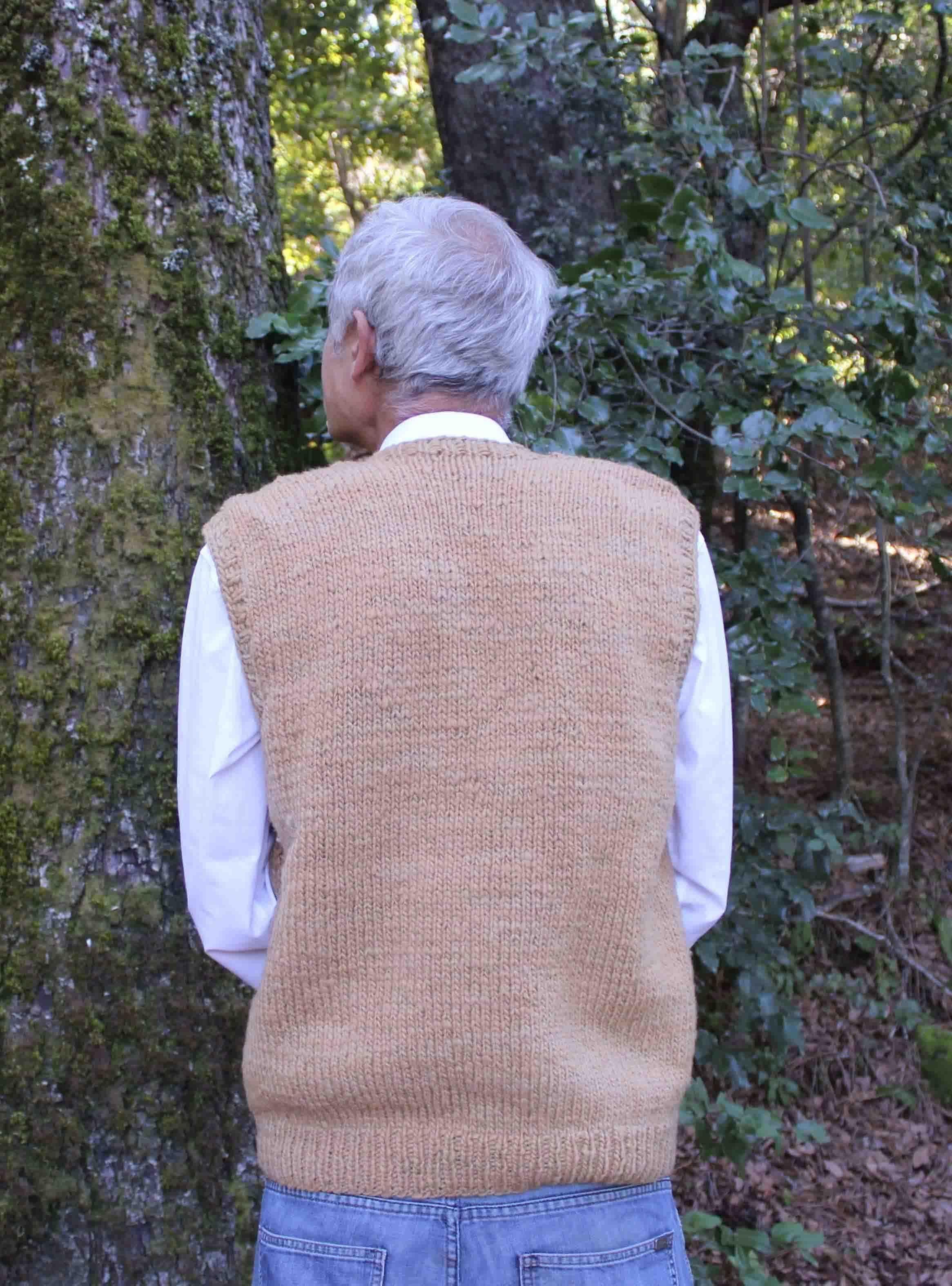 Sweater de lana sin mangas Romerillo-2