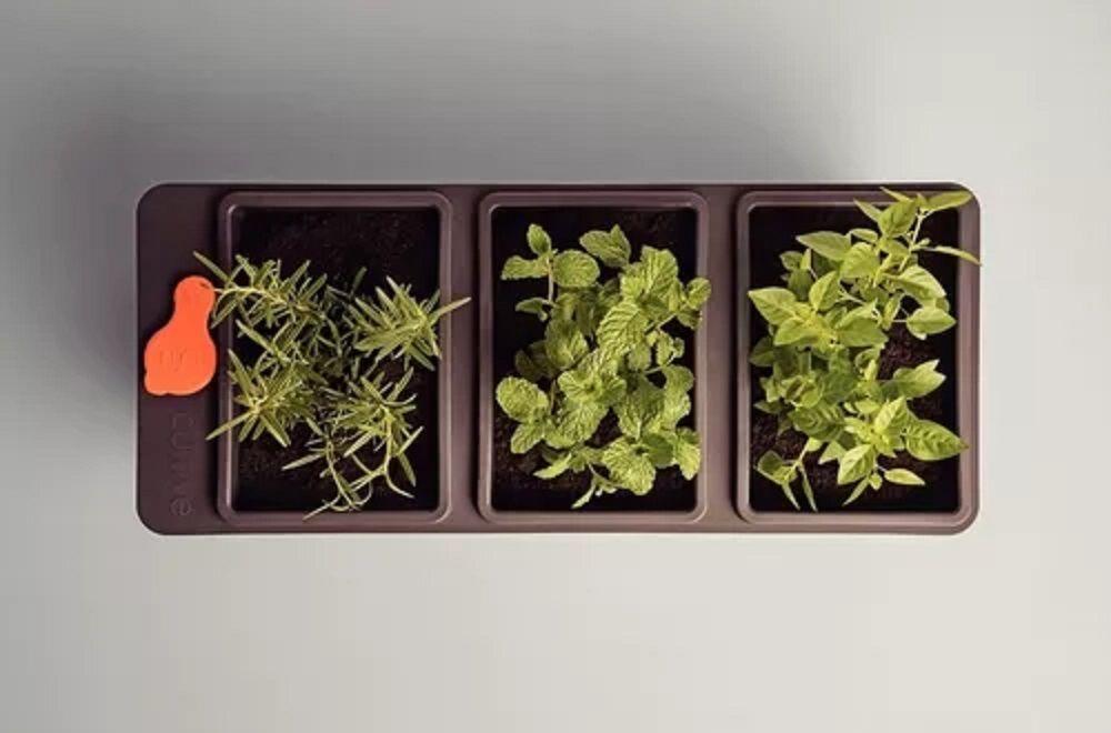 Macetero Triple Autorregable Autorriego 800ml Tramontina-2