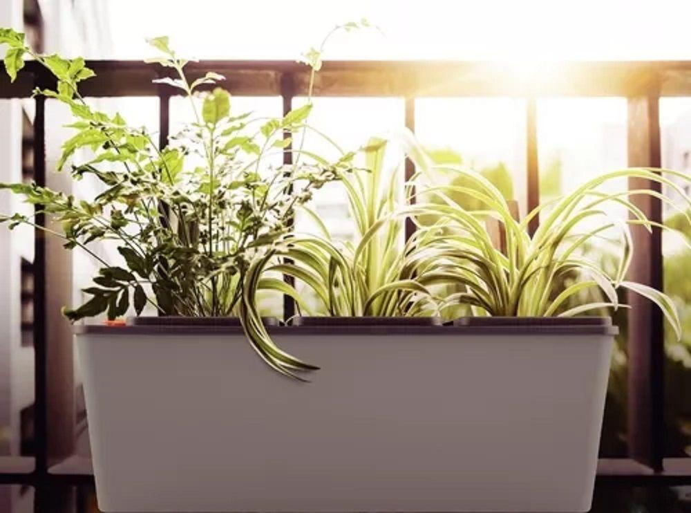 Macetero Triple Autorregable Autorriego 800ml Tramontina-3