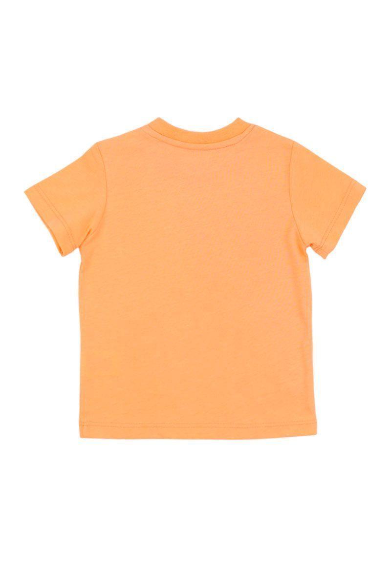 Polera bebé niño 148-1