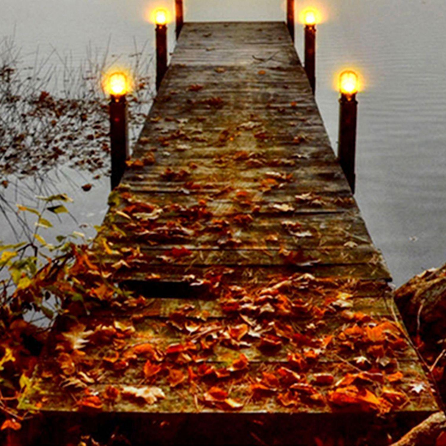 Cuadro Mural Con Luces Led Muelle-2
