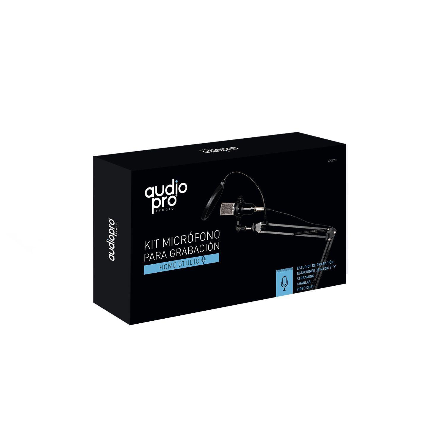 Kit Micrófono Para Grabación Con Atril + Anti Pop-2