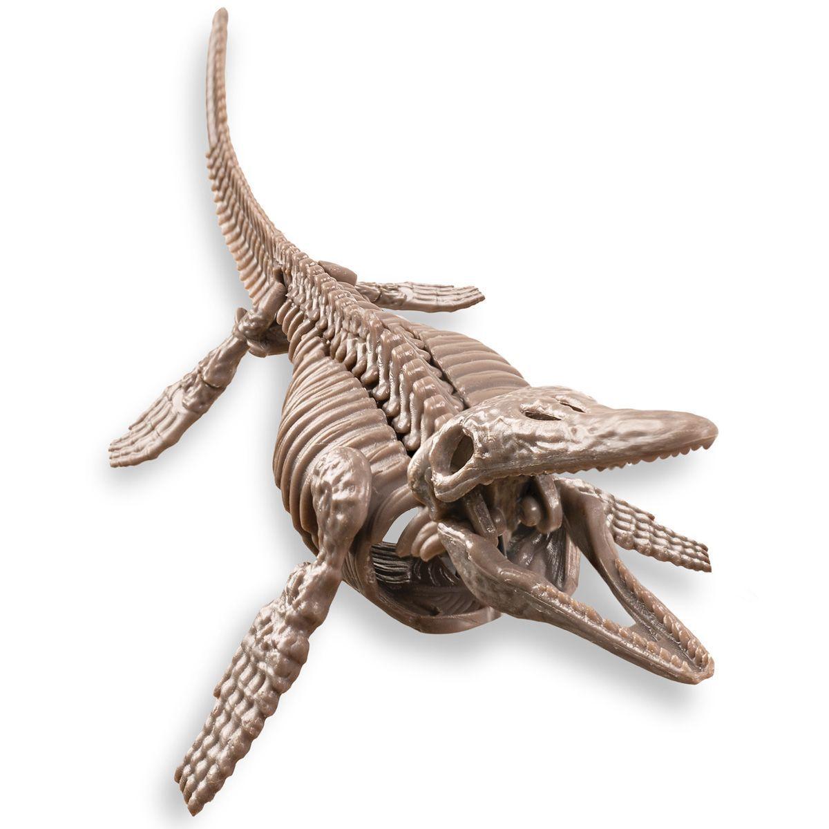 Dinosaurio Mosasaurus Excava-1