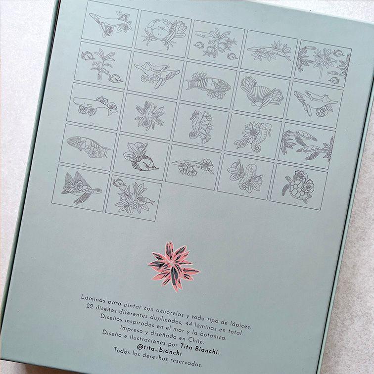 Caja creativa Mar Botánico-4