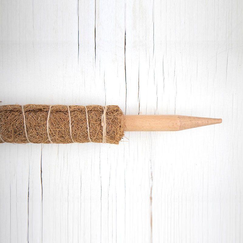 Tutor fibra de coco para plantas trepadoras 46cm-2