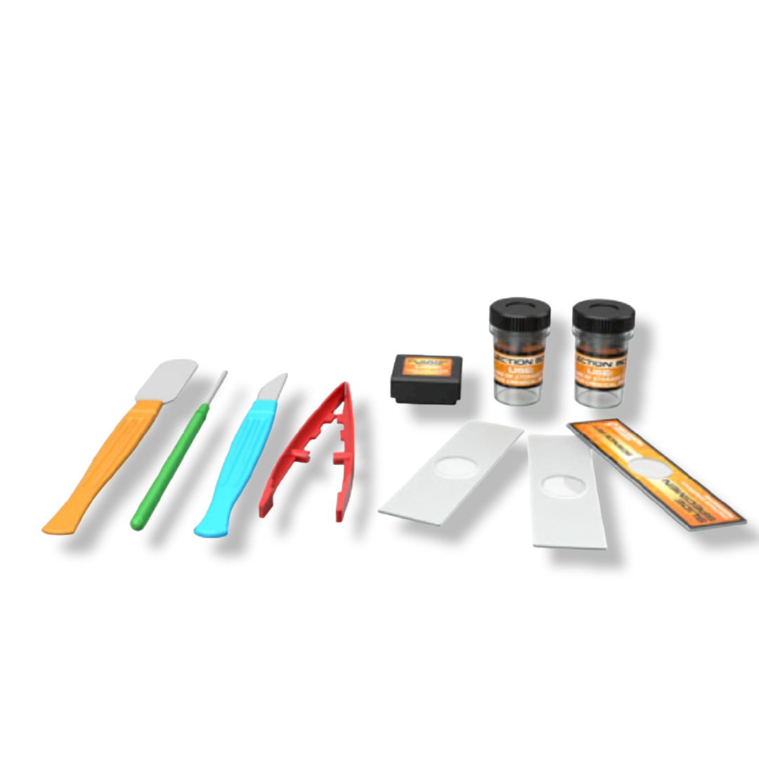 Educacional  Microscopio Con Kit De Accesorios Niños Am58-3