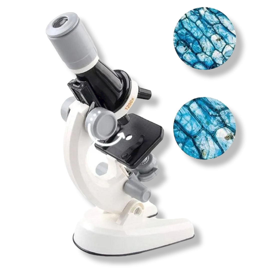 Educacional  Microscopio Con Kit De Accesorios Niños Am58-2