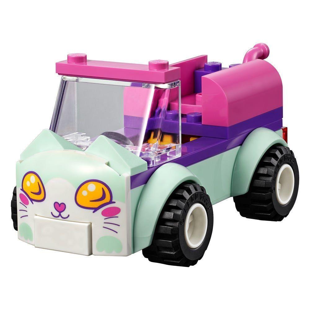 CAT GROOMING CAR-4