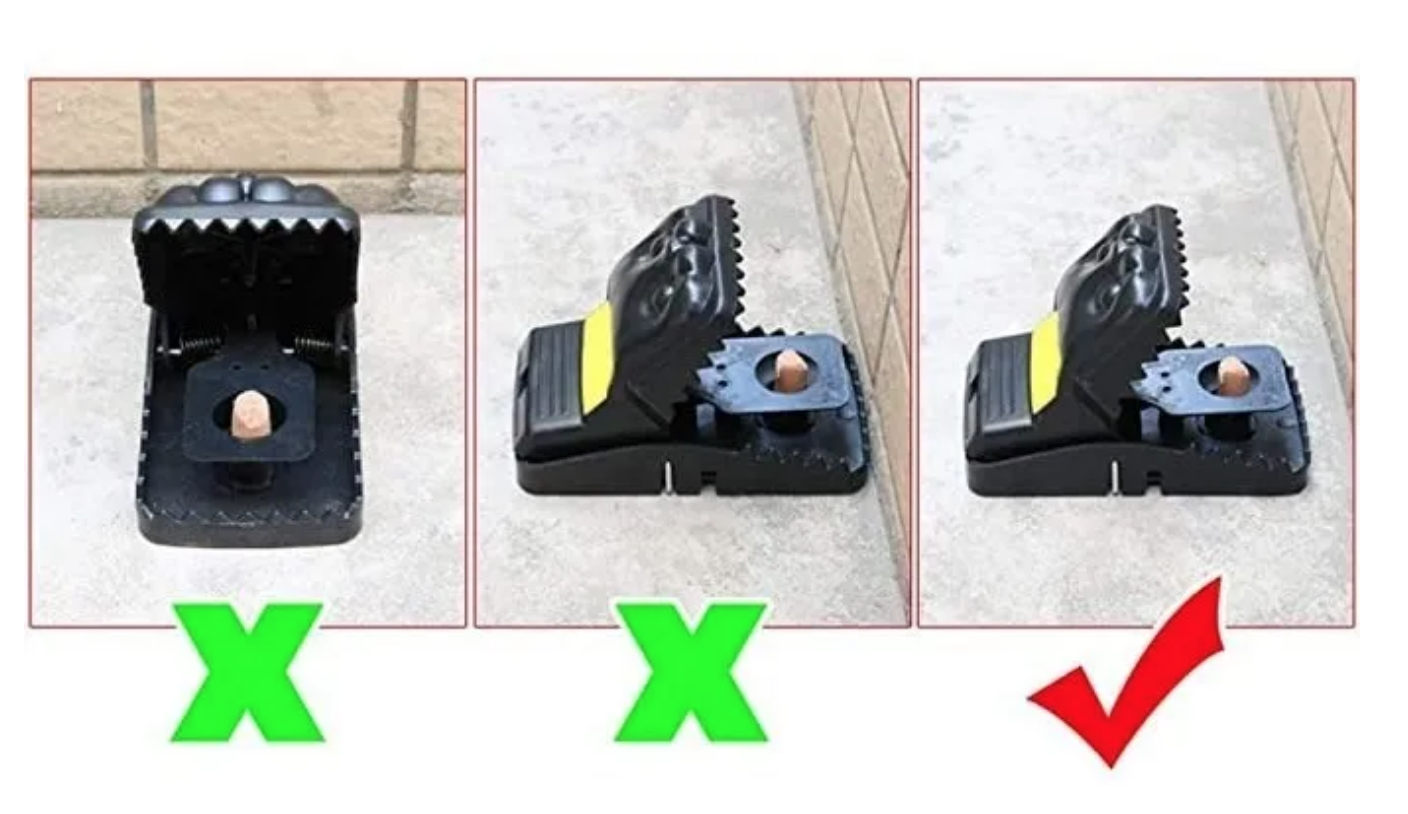 Trampa Para Ratones Segura Y Efectiva 6 Unidad Forma Gato-2