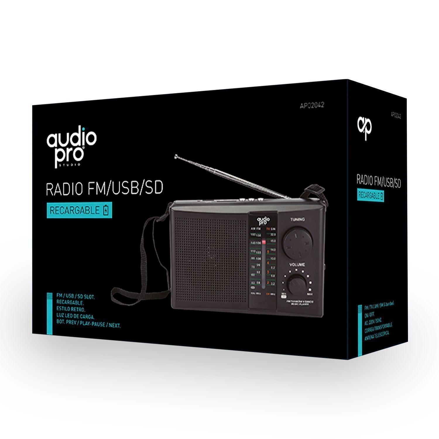 Radio Portatil Recargable FM AM USB Audiopro -1