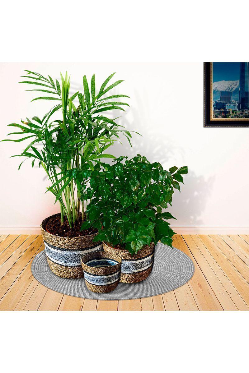 Set 3 Cestos de Fibra Natural Café-5