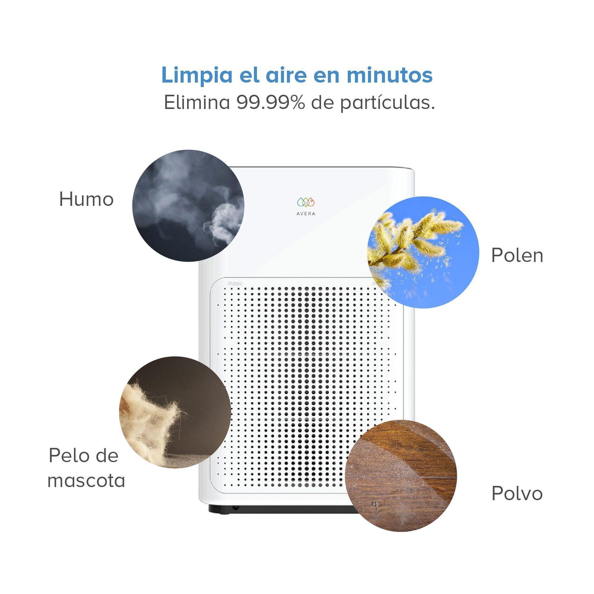 Kit Purificador De Aire Y Filtro Repuesto Avera Wifi 220v-6