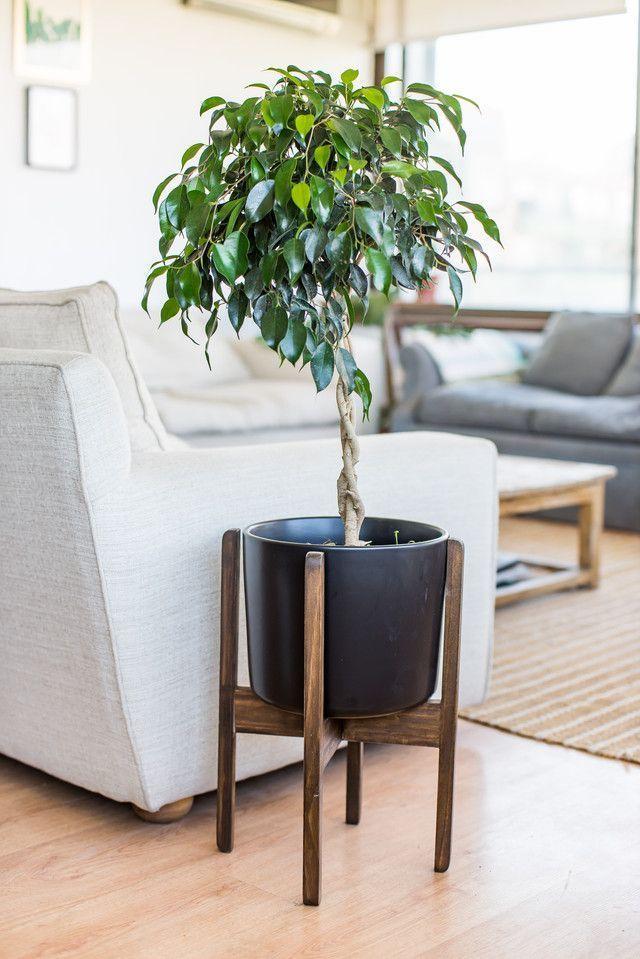 Pedestal Picunche L-2