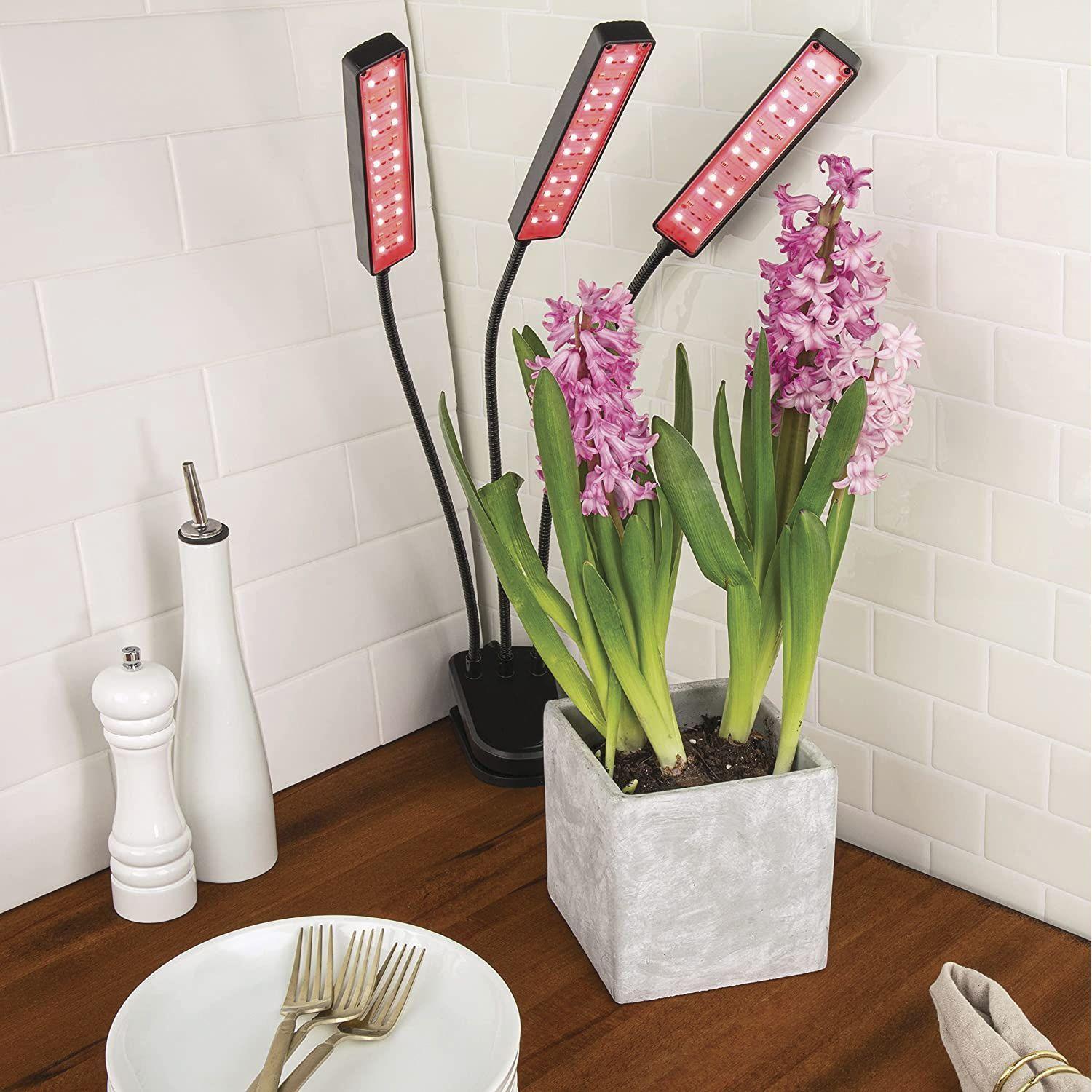 Luz LED Para Auto Cultivo Indoor Ajustable 3 Cabezales-6