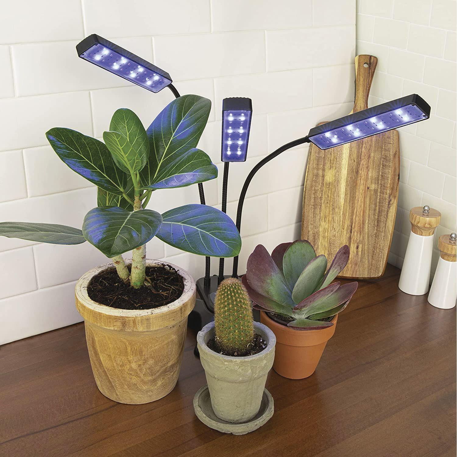 Luz LED Para Auto Cultivo Indoor Ajustable 3 Cabezales-5