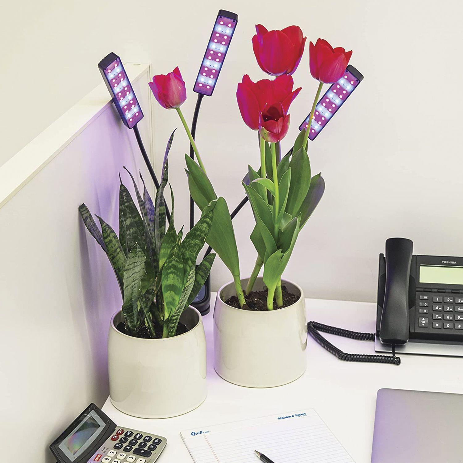 Luz LED Para Auto Cultivo Indoor Ajustable 3 Cabezales-4