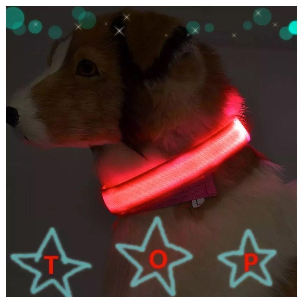 Collar Con Luz Led Carga Usb Perros Gatos S Rojo-3