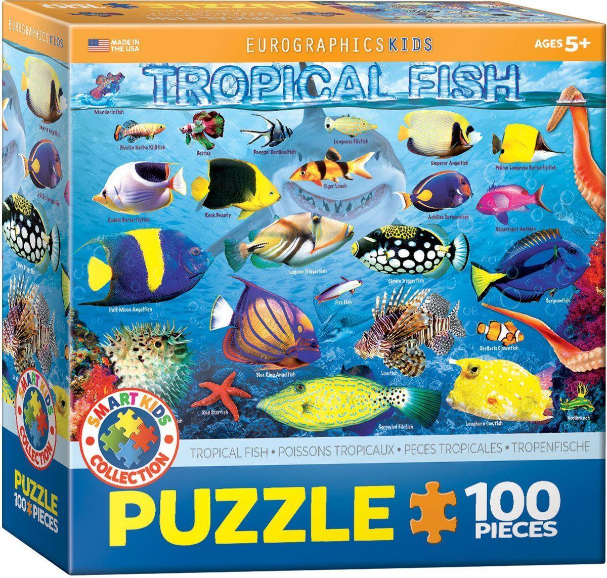 Peces Tropicales-0