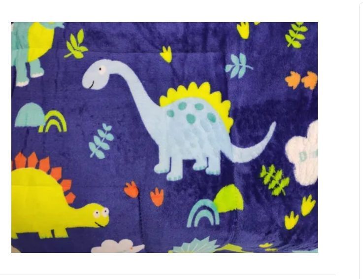 Cubrecama Cobertor Plaza Y Media Dinosaurio-2