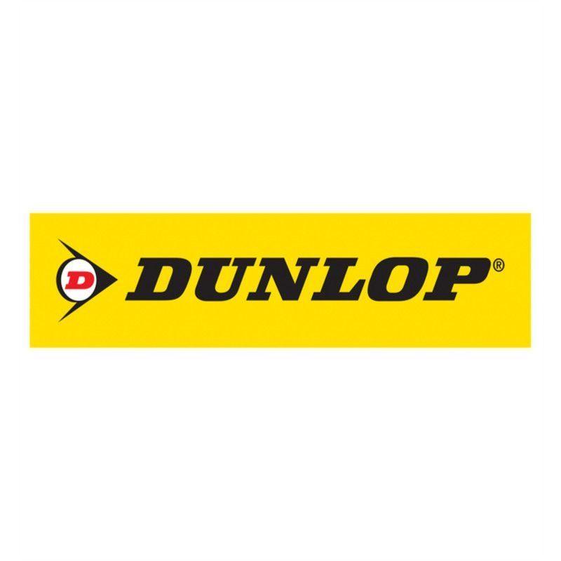 SET 4 NEUMATICO 195/55R16 DUNLOP LM704 87V TH-2