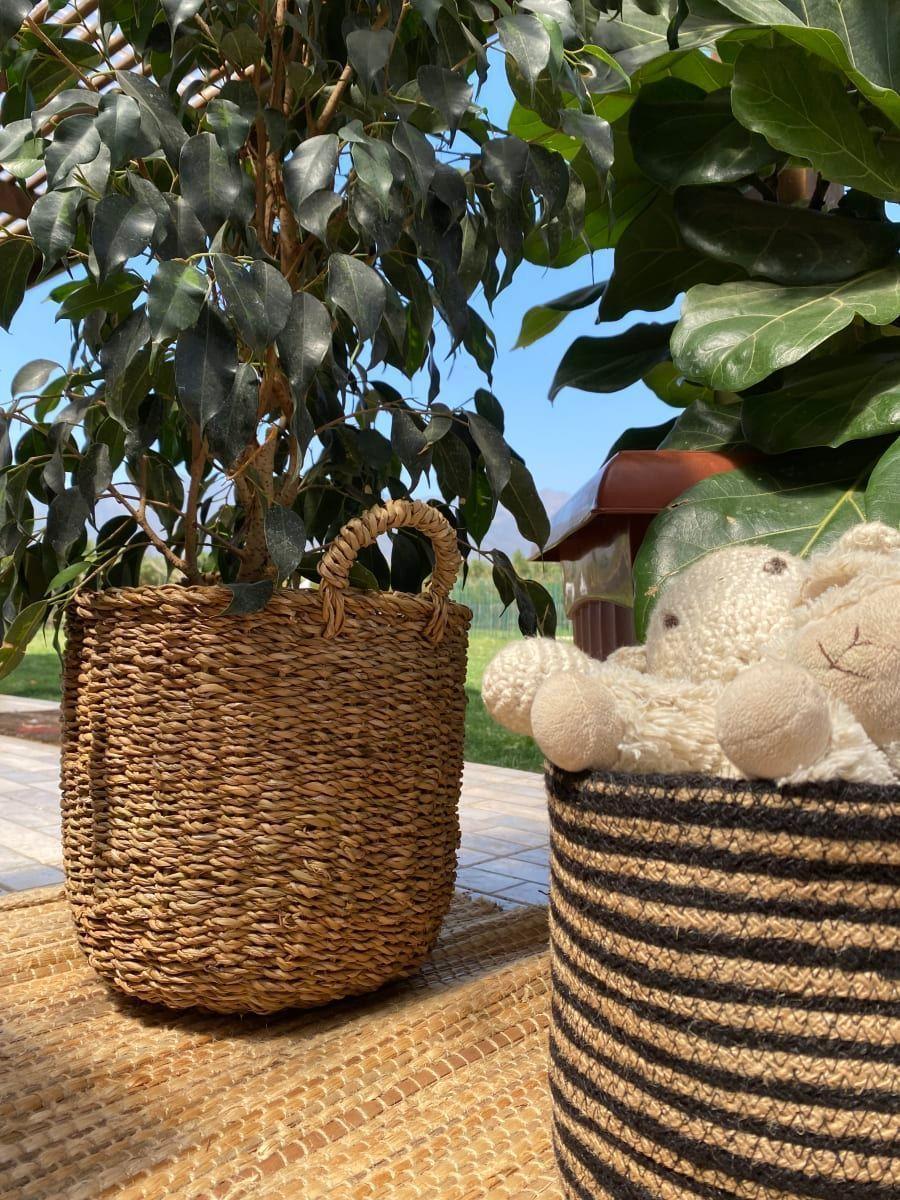 CESTO CALCUTA M 27X22-3