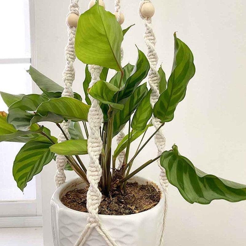 Colgador de Plantas Macramé Simple Blanco (G)-3