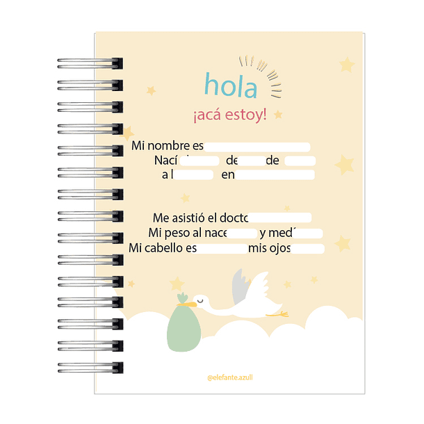 Diario de mi Bebe-2