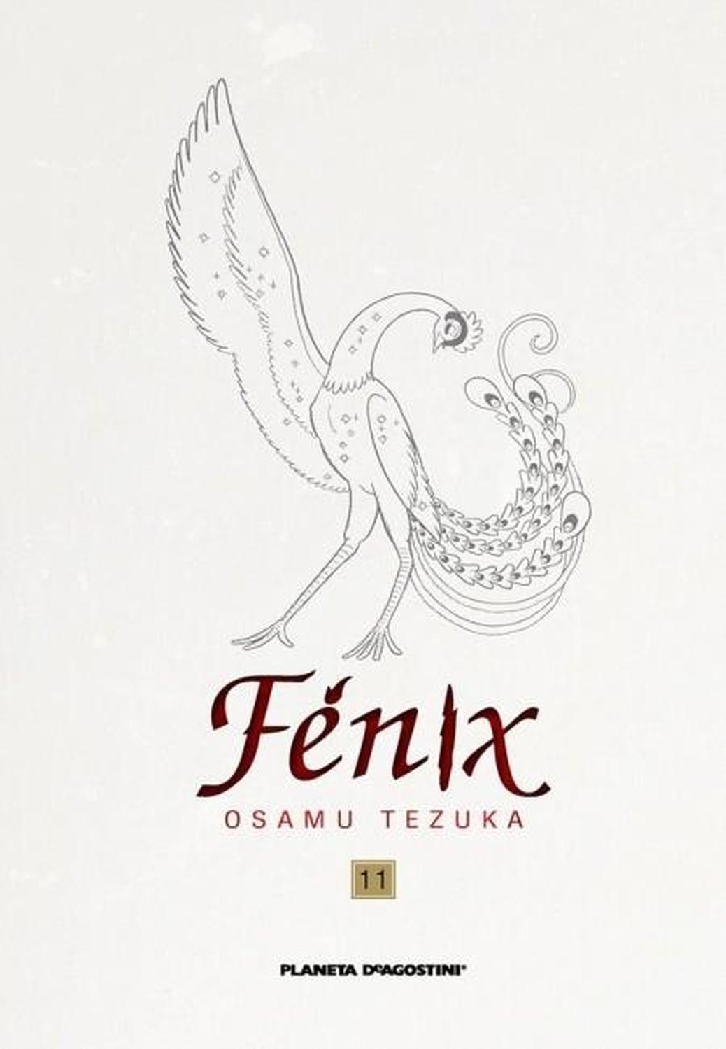 Manga Fénix 11 - España-0