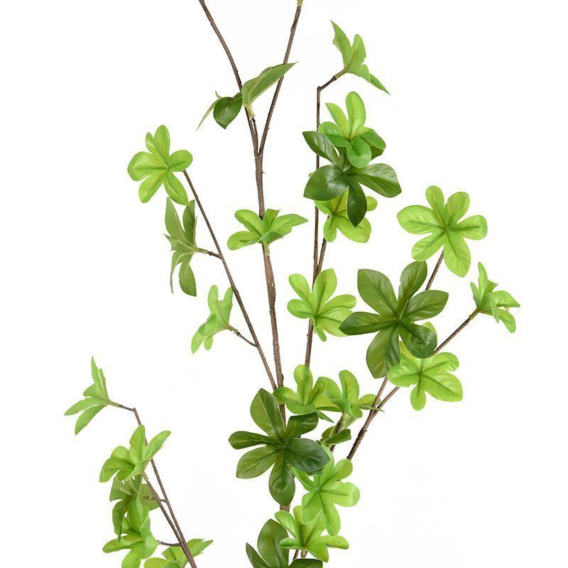 Peperomia Artificial 110cm-2