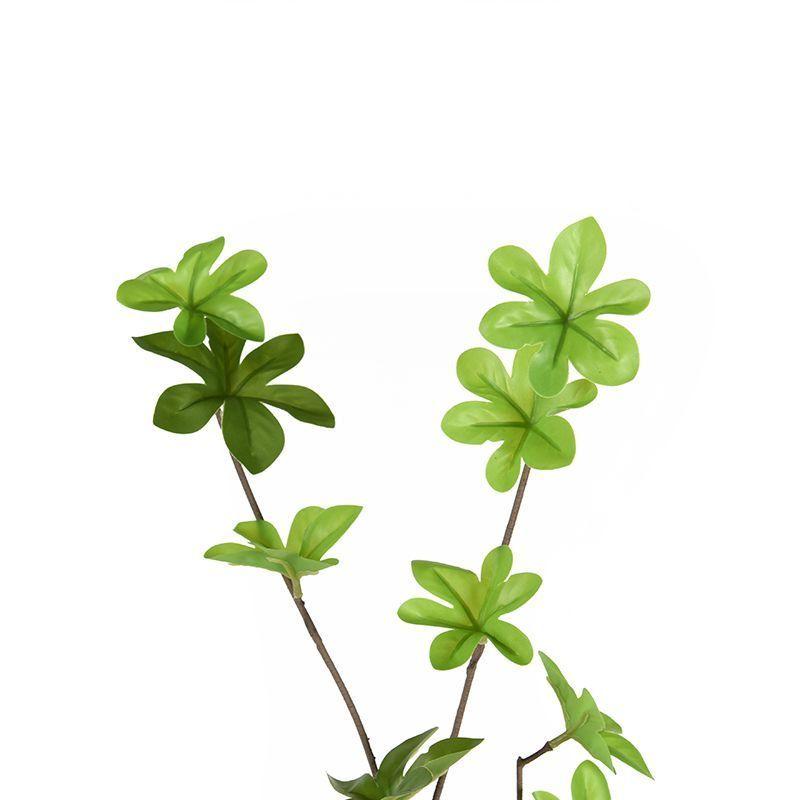 Peperomia Artificial 110cm-1