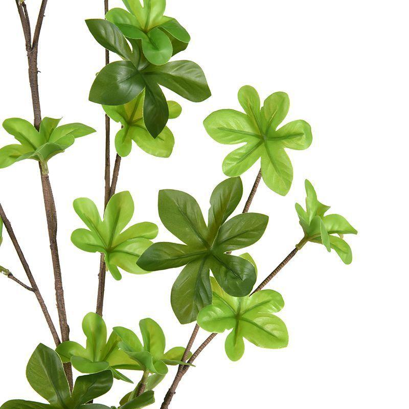 Peperomia Artificial 110cm-3