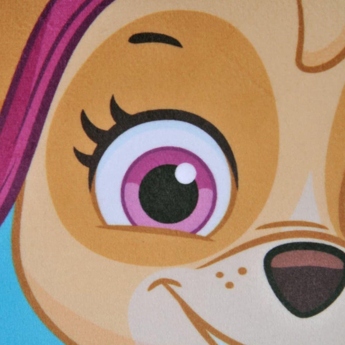 PAW PATROL - COJIN - SKYE - ROSA - 40 X 40 CM - WINDSOR-3