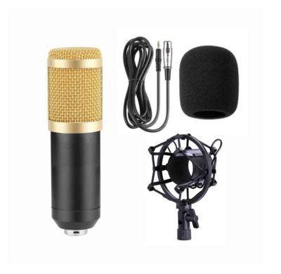 Micrófono De Estudio Con Soporte -3