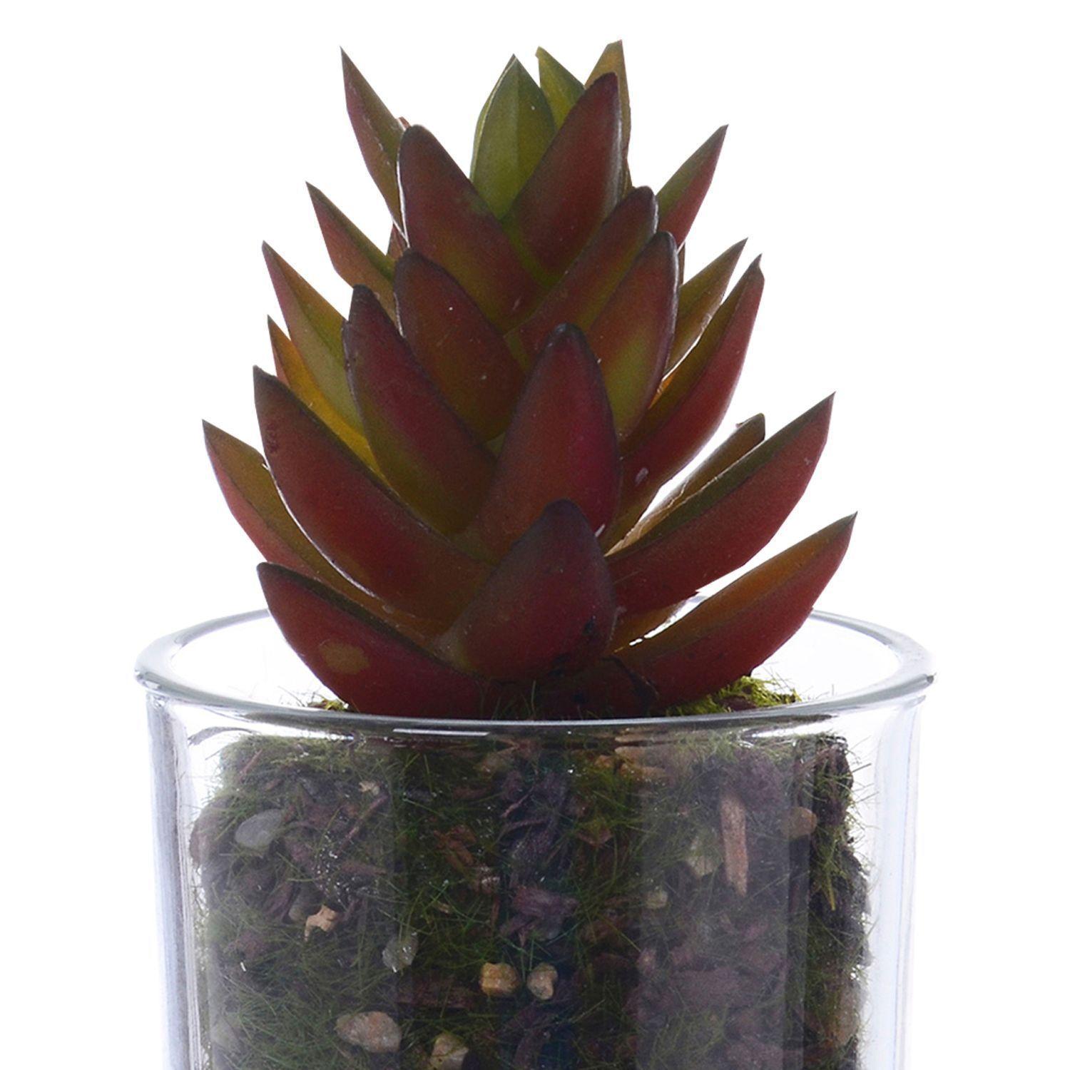 Planta Artificial Suculenta Roja Maceta Vidrio-2
