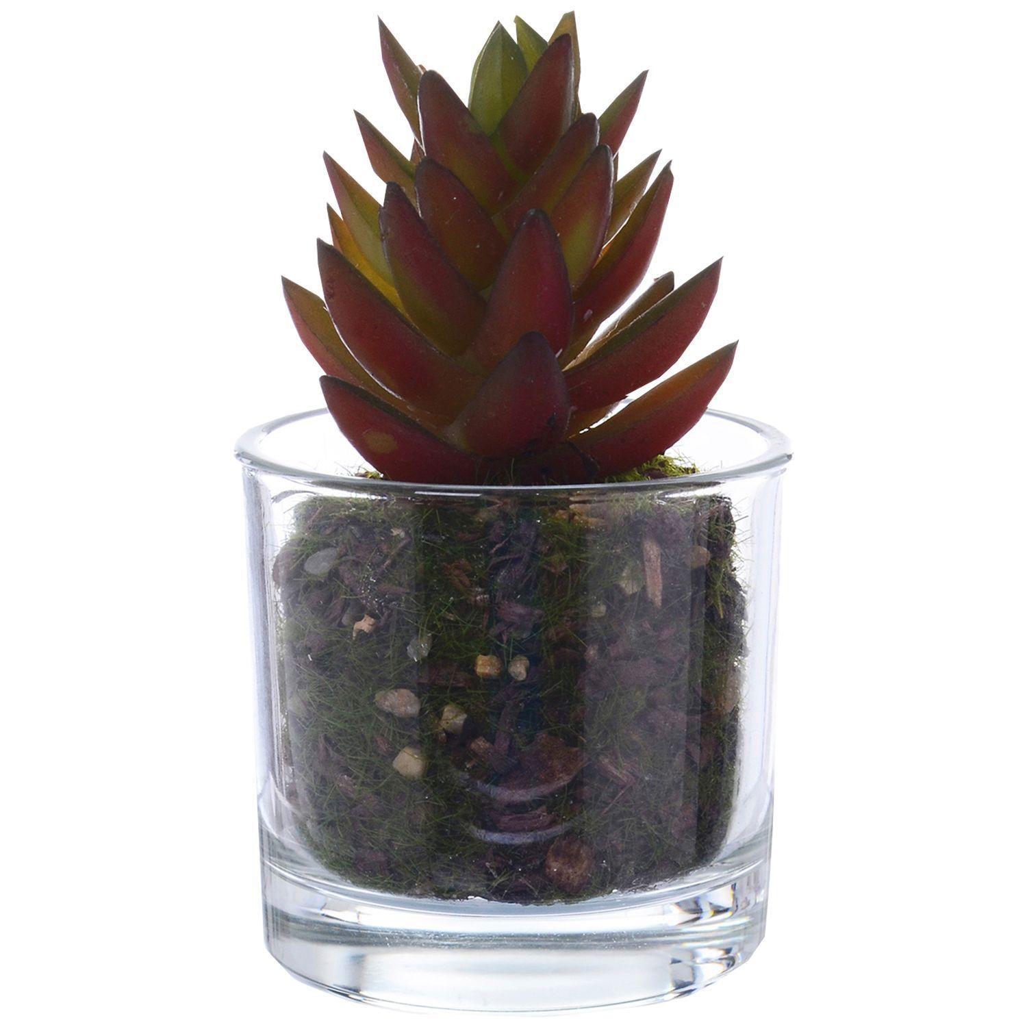 Planta Artificial Suculenta Roja Maceta Vidrio-0