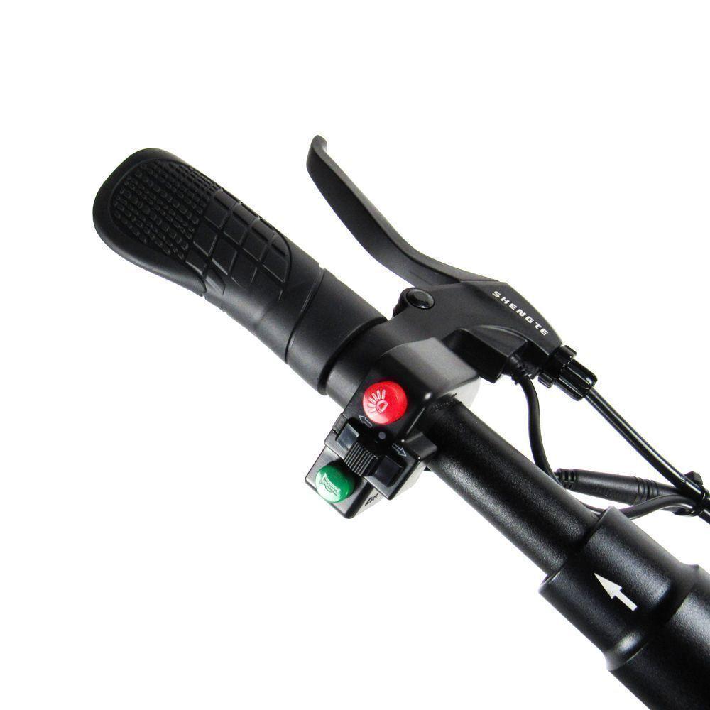 Scooter Shengte ST1002 800w Black-3
