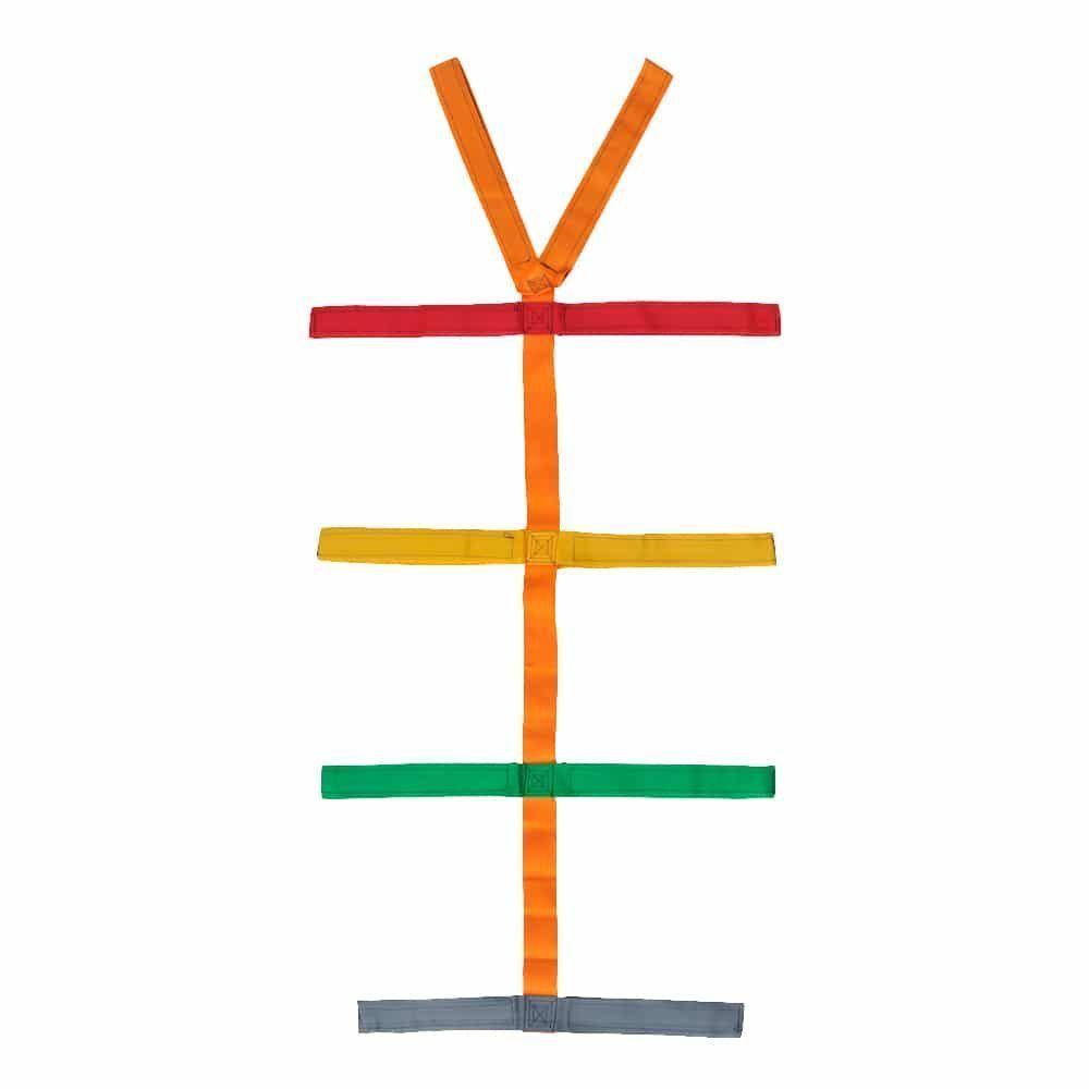 Cinturón – Correas Tipo Araña o Pulpo-0