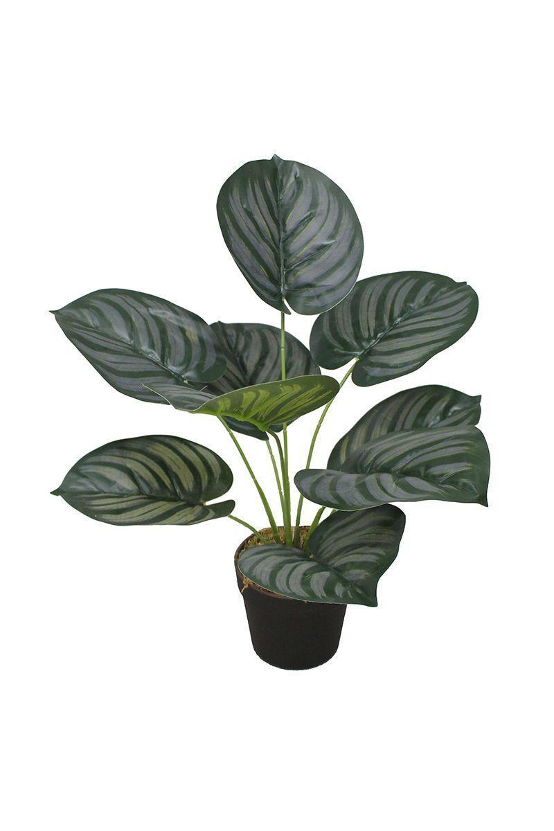 Planta Artificial Aglaonema Verde-0