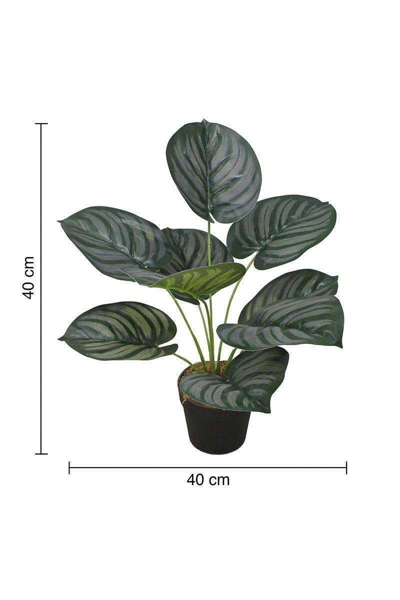 Planta Artificial Aglaonema Verde-2