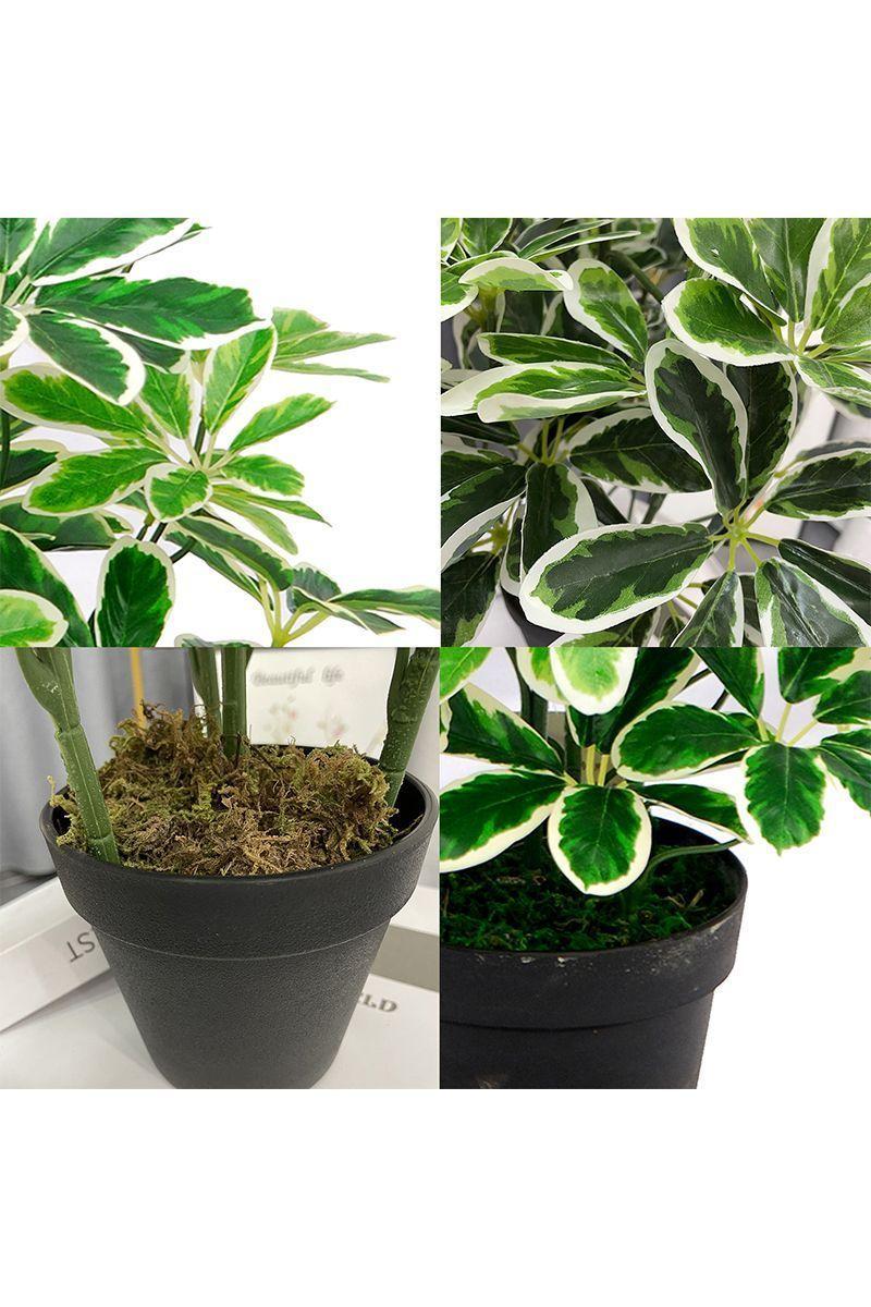 Planta Artificial Cheflera Verde-3