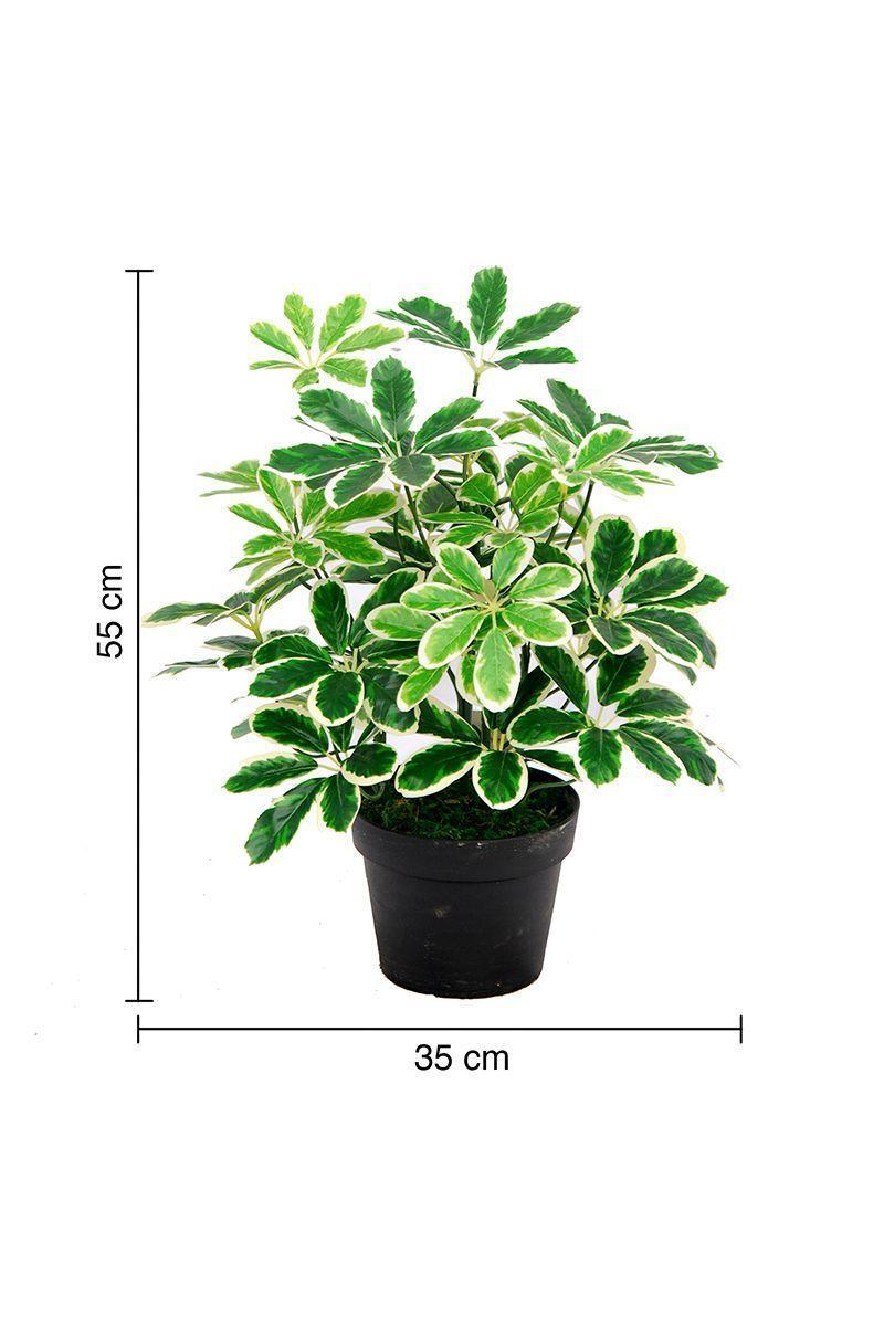 Planta Artificial Cheflera Verde-2