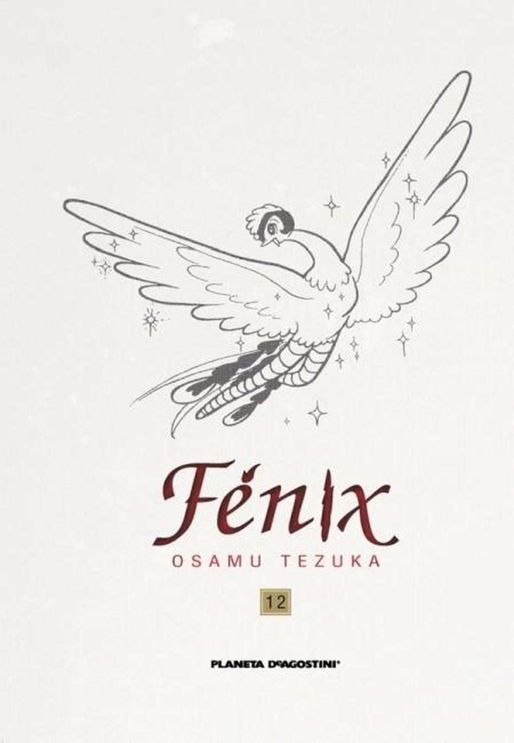 Manga Fénix 12 - España-0
