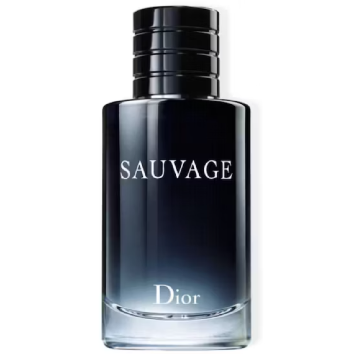 Sauvage de Christian Dior EDT 100 Ml-1