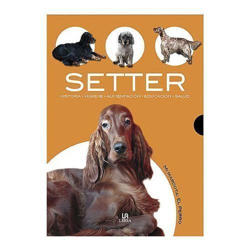 SETTER-0