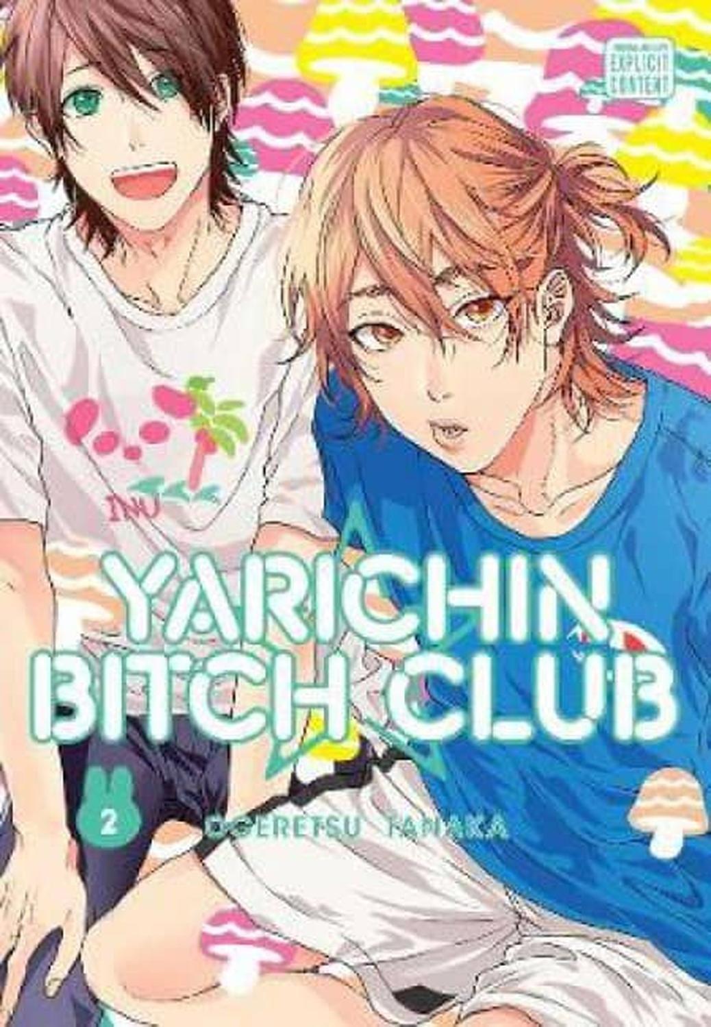 Manga Yarichin Bitch Club 02 (En Inglés) - USA-0