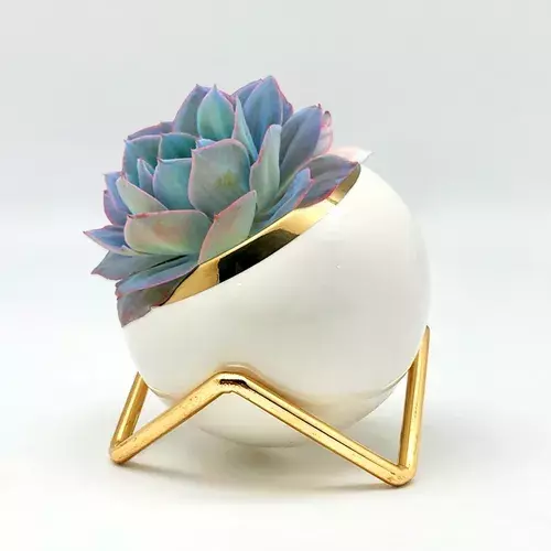 Florero Macetero Porcelana + Planta Artificial Turquesa-0